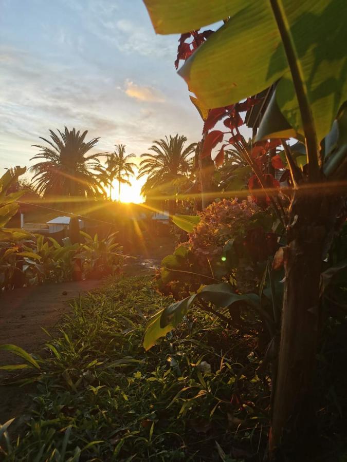 Hostal Tu'U Koihu Ханга Роа Екстериор снимка