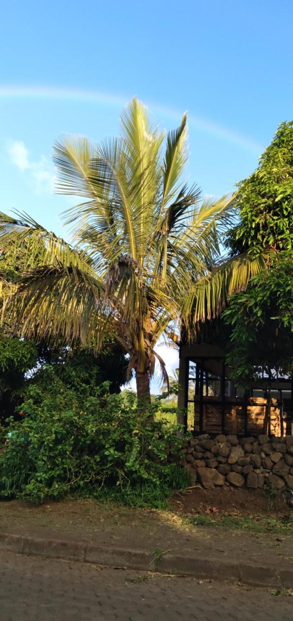 Hostal Tu'U Koihu Ханга Роа Екстериор снимка