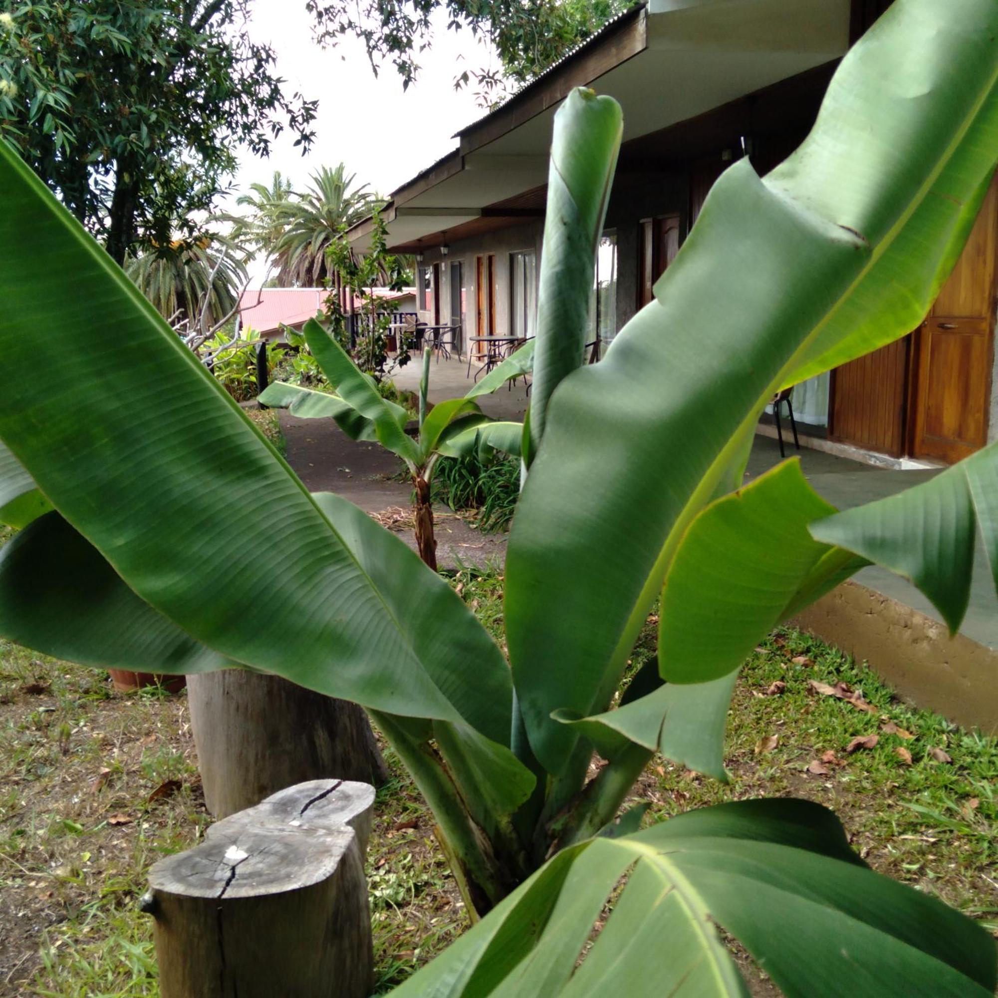 Hostal Tu'U Koihu Ханга Роа Екстериор снимка