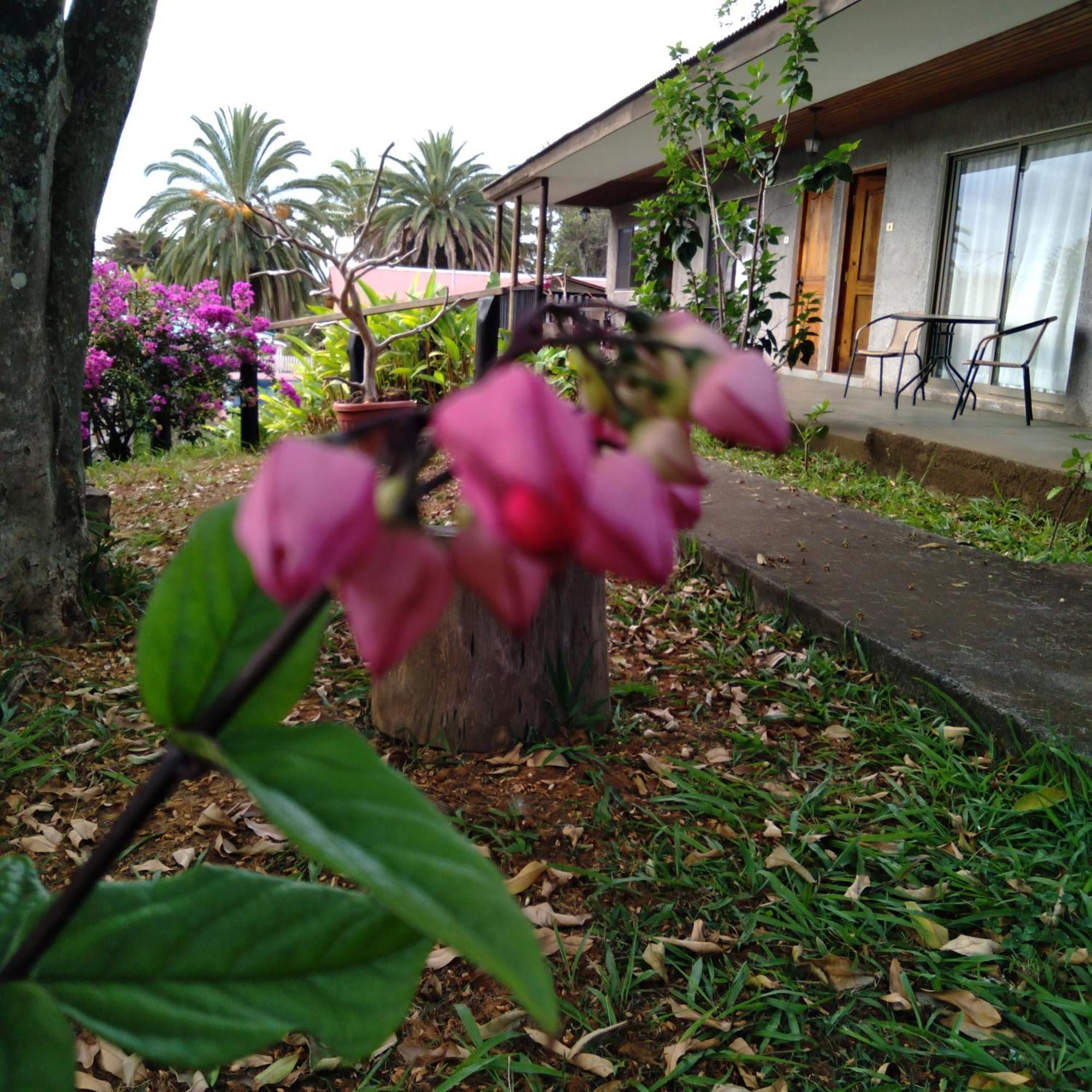 Hostal Tu'U Koihu Ханга Роа Екстериор снимка